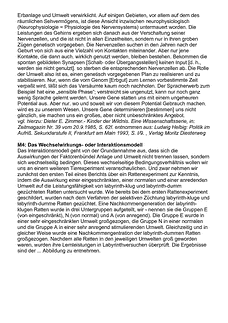 Vorschau Seite 7