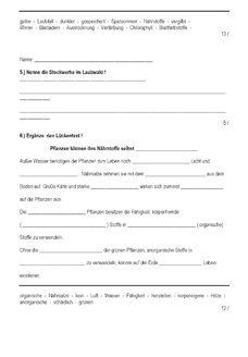 Vorschau Seite 2