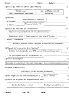 Vorschau Seite 1