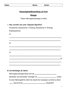 Vorschau Seite 1