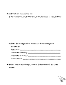 Vorschau Seite 2