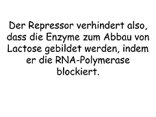 Vorschau Seite 6