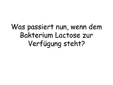 Vorschau Seite 7