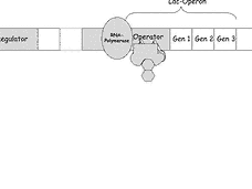 Vorschau Seite 9