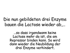 Vorschau Seite 12