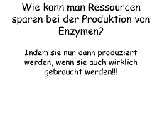 Vorschau Seite 2