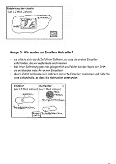 Vorschau Seite 37