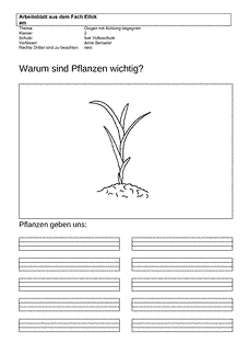 Vorschau Seite 1