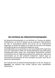 Vorschau Seite 8