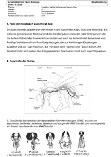 Vorschau Seite 1