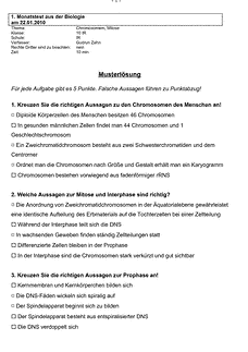Vorschau Seite 1