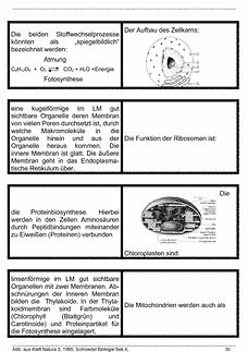 Vorschau Seite 1