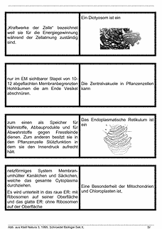 Vorschau Seite 2