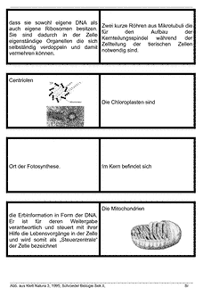 Vorschau Seite 3