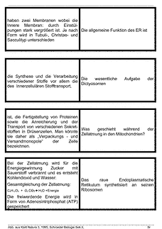 Vorschau Seite 4