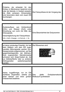 Vorschau Seite 5