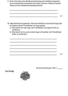 Vorschau Seite 4