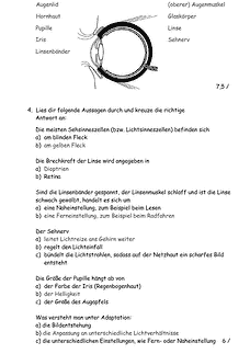 Vorschau Seite 2