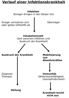 Vorschau Seite 1