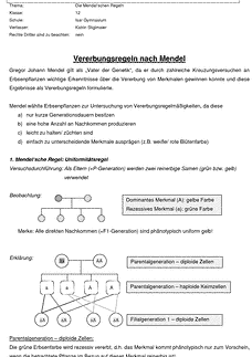 Vorschau Seite 1