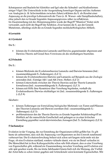 Vorschau Seite 2