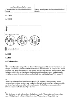 Vorschau Seite 10