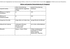 Vorschau Seite 7