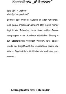 Vorschau Seite 8
