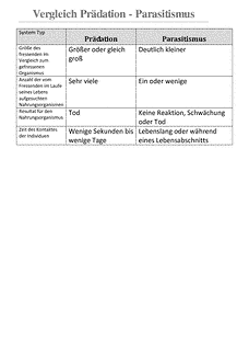 Vorschau Seite 10