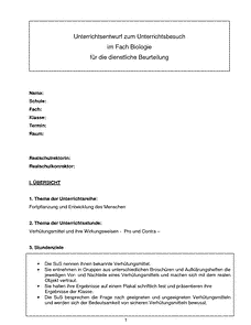 Vorschau Seite 1