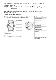Vorschau Seite 3