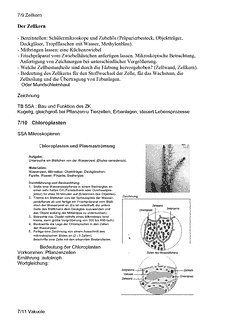 Vorschau Seite 5