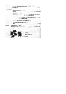 Vorschau Seite 6