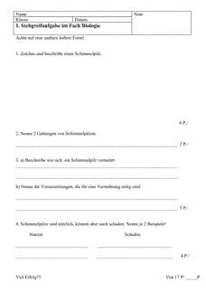 Vorschau Seite 1