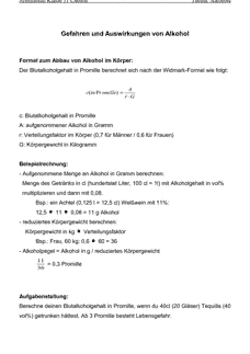 Vorschau Seite 1