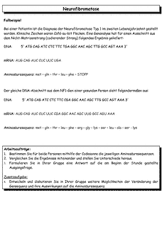 Vorschau Seite 5