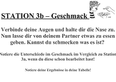 Vorschau Seite 14