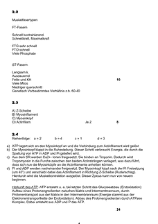 Vorschau Seite 4