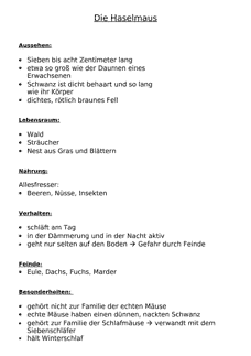 Vorschau Seite 1