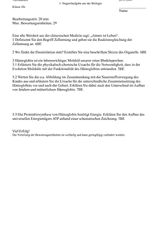 Vorschau Seite 1