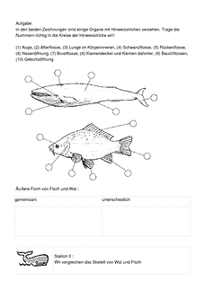 Vorschau Seite 4