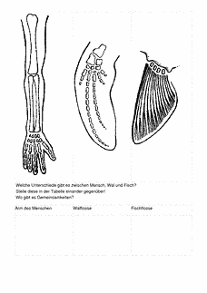 Vorschau Seite 7