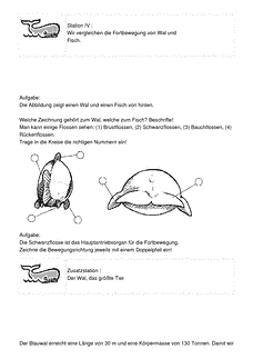 Vorschau Seite 8