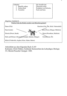 Vorschau Seite 3
