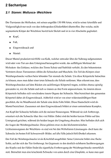 Vorschau Seite 4