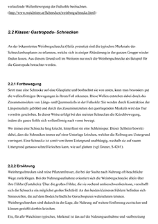 Vorschau Seite 5