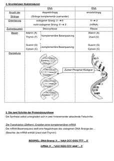 Vorschau Seite 2