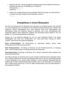 Vorschau Seite 2