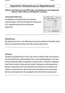Vorschau Seite 1
