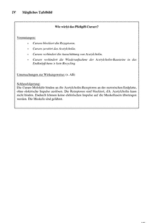 Vorschau Seite 15